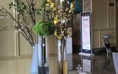 Туры в отель Boao Hotel