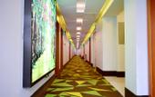 Туры в отель Shell Hotel (Chaoyang shoe city store, Chaoyang Street, Taiyuan)