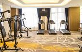 Туры в отель Mercure Hotel(Harbin Songbei)