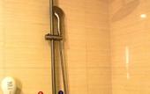 Туры в отель Leshan Youpin Hotel (Qianwei Fengye Fortune Center)
