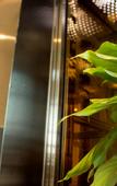 Туры в отель 7Days Inn Chain Hotel (Xinyang Shangcheng Passenger North Station)