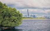 Туры в отель Park Hyatt Shenzhen Futian