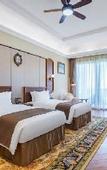 Туры в отель Champs Belle Mansion