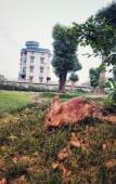Туры в отель S · Dor Hotel (Hangzhou Xiaoshan International Airport)