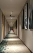 Туры в отель GreenTree Inn (Fuzhou South Railway Station Lulei Metro Station)