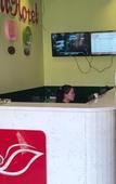 Туры в отель Shell Hote
