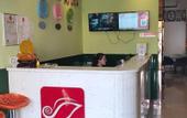 Туры в отель Shell Hote