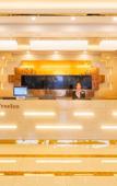 Туры в отель GreenTree Hotel (Suzhou Linhu Jiangnan Botanical Garden)
