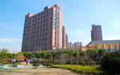 Туры в отель City Comfort Inn (Shanghai Jiading International Automobile City)