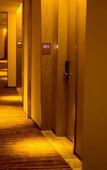 Туры в отель Echarm Plus Hotel (Nanningdong Railway Station)