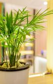 Туры в отель Mingyue Lake Hotel (Baise City Government Hengji Plaza)
