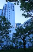 Туры в отель Homeinn Plus Hotel Shenzhen Nanshan Science and Technology Park