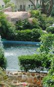 Туры в отель Dragon Bay Natural Hot Spring Resort