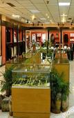 Туры в отель Three Gorges Project Hotel