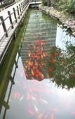 Туры в отель Three Gorges Project Hotel