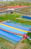 Туры в отель Jiulong Bay Garden Rezen Hotel