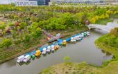 Туры в отель Jiulong Bay Garden Rezen Hotel