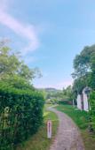 Туры в отель Jiulong Bay Garden Rezen Hotel