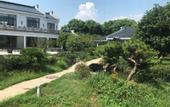 Туры в отель Jiulong Bay Garden Rezen Hotel