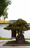 Туры в отель Jiulong Bay Garden Rezen Hotel