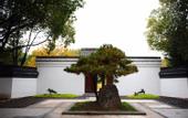 Туры в отель Jiulong Bay Garden Rezen Hotel