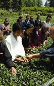Туры в отель Jiulong Bay Garden Rezen Hotel
