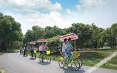 Туры в отель Jiulong Bay Garden Rezen Hotel