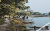 Туры в отель Jiulong Bay Garden Rezen Hotel