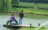 Туры в отель Jiulong Bay Garden Rezen Hotel