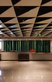 Туры в отель DADA Taodu Trojan Horse Hotel (Chongqing Zoo · Yangjiaping Metro Station Branch)