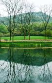 Туры в отель Vienna International Hotel (Hangzhou West Lake Fengshan Road)