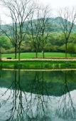 Туры в отель Vienna International Hotel (Hangzhou West Lake Fengshan Road)