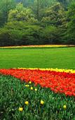 Туры в отель Vienna International Hotel (Hangzhou West Lake Fengshan Road)