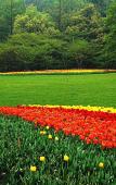 Туры в отель Vienna International Hotel (Hangzhou West Lake Fengshan Road)