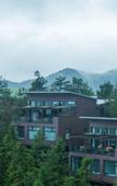 Туры в отель naked Stables Resort