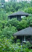 Туры в отель naked Stables Resort