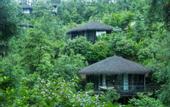 Туры в отель naked Stables Resort