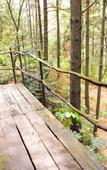 Туры в отель naked Stables Resort