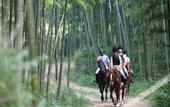 Туры в отель naked Stables Resort
