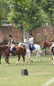 Туры в отель naked Stables Resort