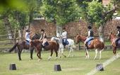 Туры в отель naked Stables Resort