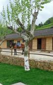 Туры в отель naked Stables Resort