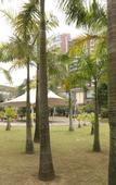 Туры в отель Homeinn Selected Hotel (Zhuhai Gongbei Huanyu City Shopping Center)