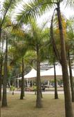 Туры в отель Homeinn Selected Hotel (Zhuhai Gongbei Huanyu City Shopping Center)