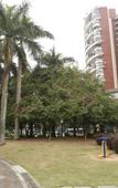 Туры в отель Homeinn Selected Hotel (Zhuhai Gongbei Huanyu City Shopping Center)