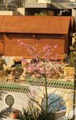 Туры в отель Sanying Spa Resort Hotel