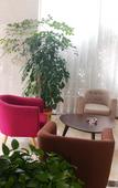 Туры в отель Lanbowan Hotel