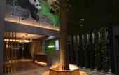 Туры в отель Li Rui Xiang Zhangshu Garden Hotel (Dujiangyan Scenic Area)
