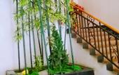 Туры в отель Li Rui Xiang Zhangshu Garden Hotel (Dujiangyan Scenic Area)