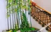 Туры в отель Li Rui Xiang Zhangshu Garden Hotel (Dujiangyan Scenic Area)
